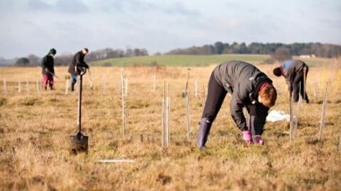 Tree planting, Networking Nature
