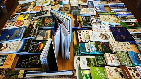 Books