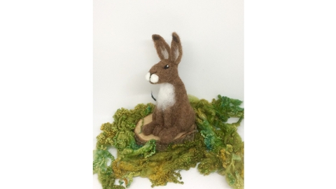 Suffolk Wildlife Trust