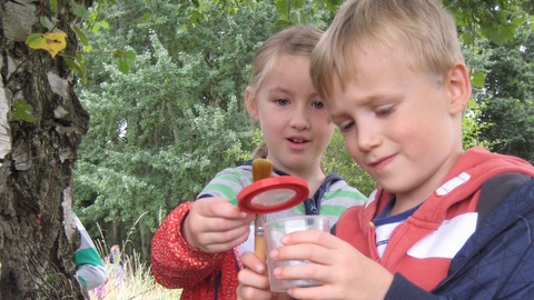 Suffolk Wildlife Trust