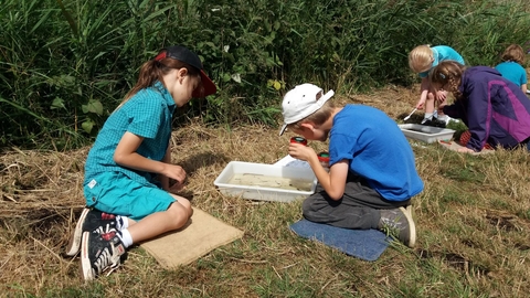 Suffolk Wildlife Trust