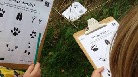 Suffolk Wildlife Trust