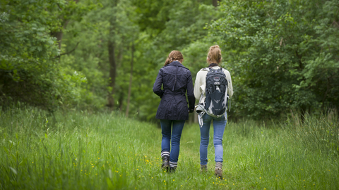 Suffolk Wildlife Trust