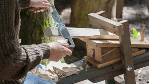 Suffolk Wildlife Trust