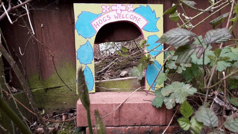 Hedgehog highway decoration