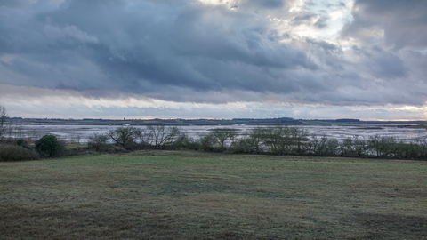 Suffolk Wildlife Trust