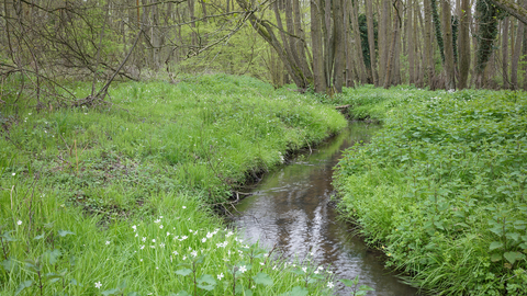 Arger Fen by Steve Aylward