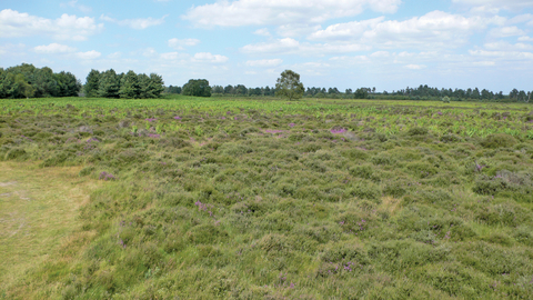 Upper Hollesley Common