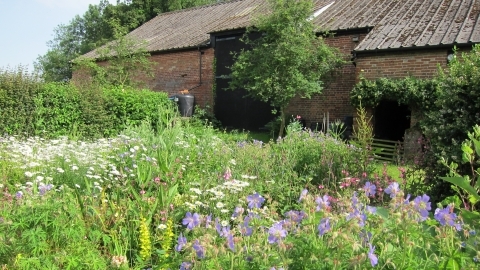 Foxburrow Farm garden