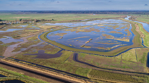 Suffolk Wildlife Trust