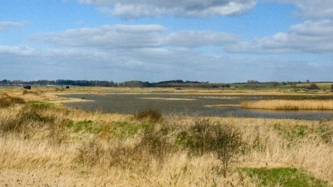 Trimley