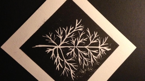 print making Gill Mossop