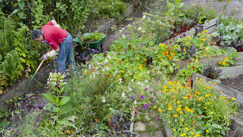 Community gardening - Paul Harris/2020vision