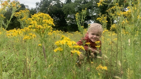 boy in ragwort