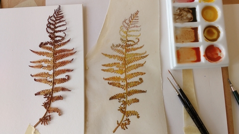 Autumn Fern Ruth Wharrier