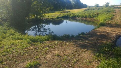 Suffolk Wildlife Trust