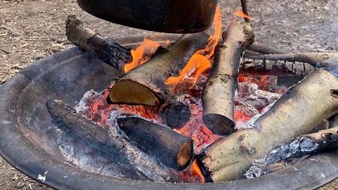 Forest School skills