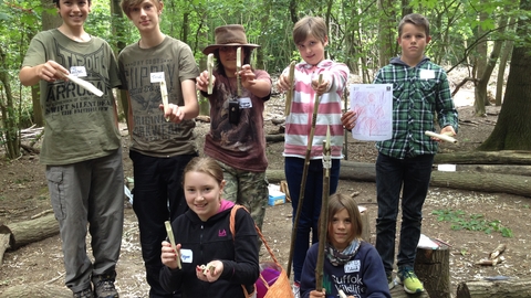 Trees and whittling