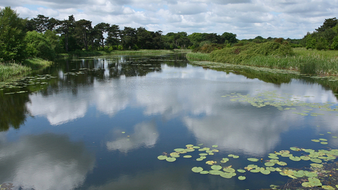 Lound Lakes