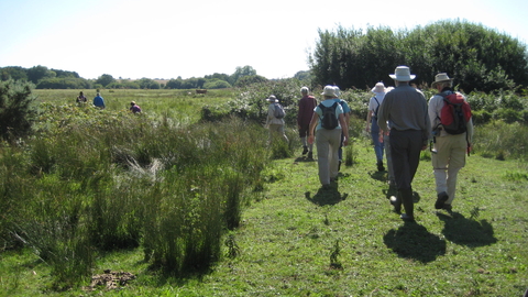 Suffolk Wildlife Trust