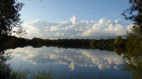 Lackford Lakes