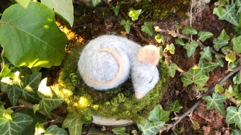 Suffolk Wildlife Trust