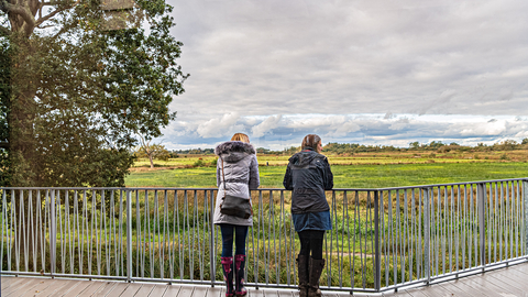 Carlton Marshes Ladies Veranda John Ferguson