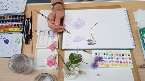 Level 4 Certificate in Botanical Drawing and Painting 