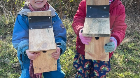 Nest box building in Ipswich green spaces. Image Credit - Lucy Shepherd