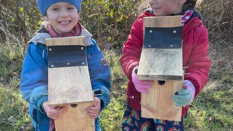 Nest box building in Ipswich green spaces. Image Credit - Lucy Shepherd