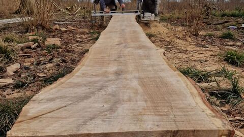Green oak woodworking, Bradfield Woods, Anneke Emery 