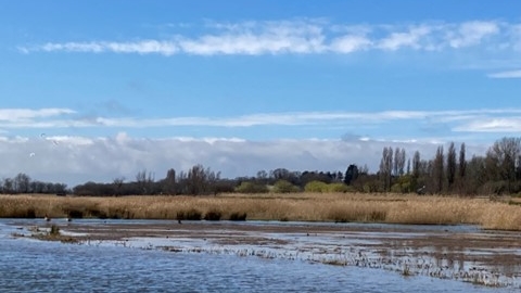 Carlton Marshes, Matt Gooch