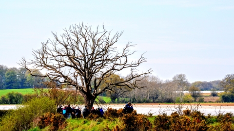 ANOB volunteers at Martlesham Wilds