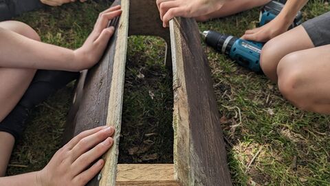 building hedgehog homes