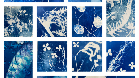 Reconnect nature Rachel Wiles