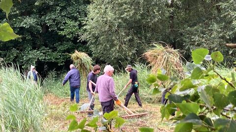 Volunteers at Carlton helping Wardens Gavin and Matt clear the next section of Sprat’s Water fen cuts this week - Matt Gooch 