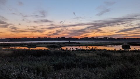 Trimley Marshes sunrise – Ella Broom 