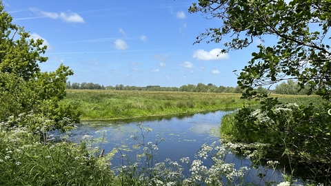 body of water at Worlingham Marshes