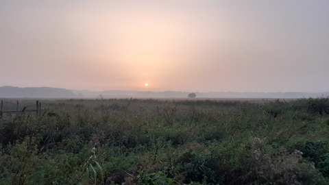 A hazy sunrise at Trimley Marshes in Suffolk