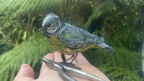 Paul greens wire blue tit