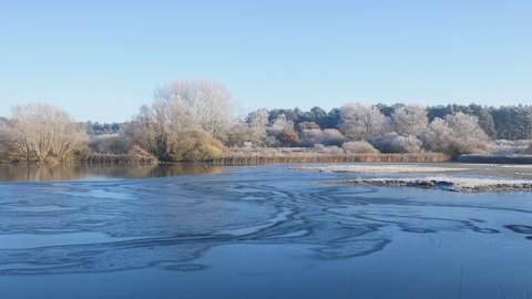 A frosty lake with the trees on the horizon