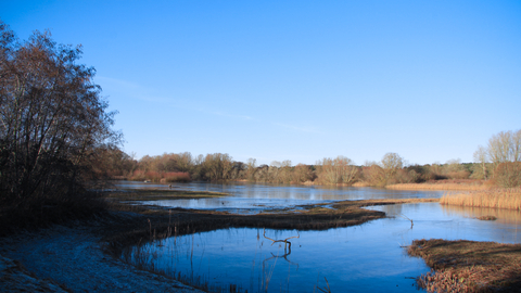 A winter view across The Shallows at Lackford Lakes 