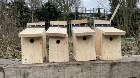 bird boxes