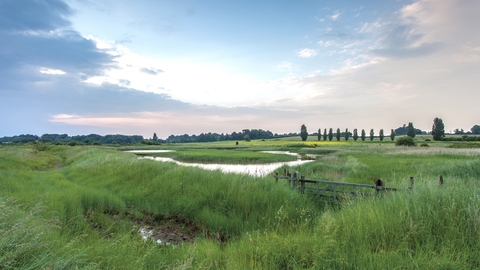 A verdant landscape overlooking scrapes with a blue and pink sky