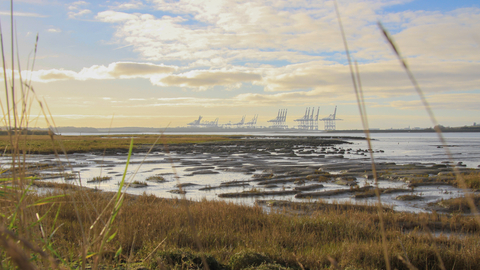 A bright morning looking over the river orwell with the tide out 