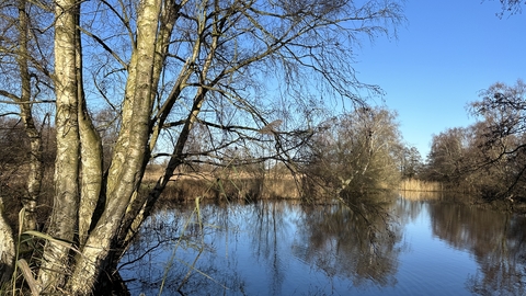 Worlingham Marshes