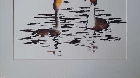 Stencil-John Daynes