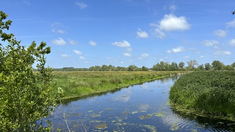 A dyke at Worlingham Marshes