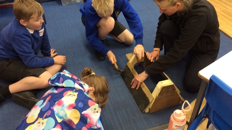 Hedgehog house building 