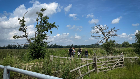 A group of people stood between two trees and open marsh fields